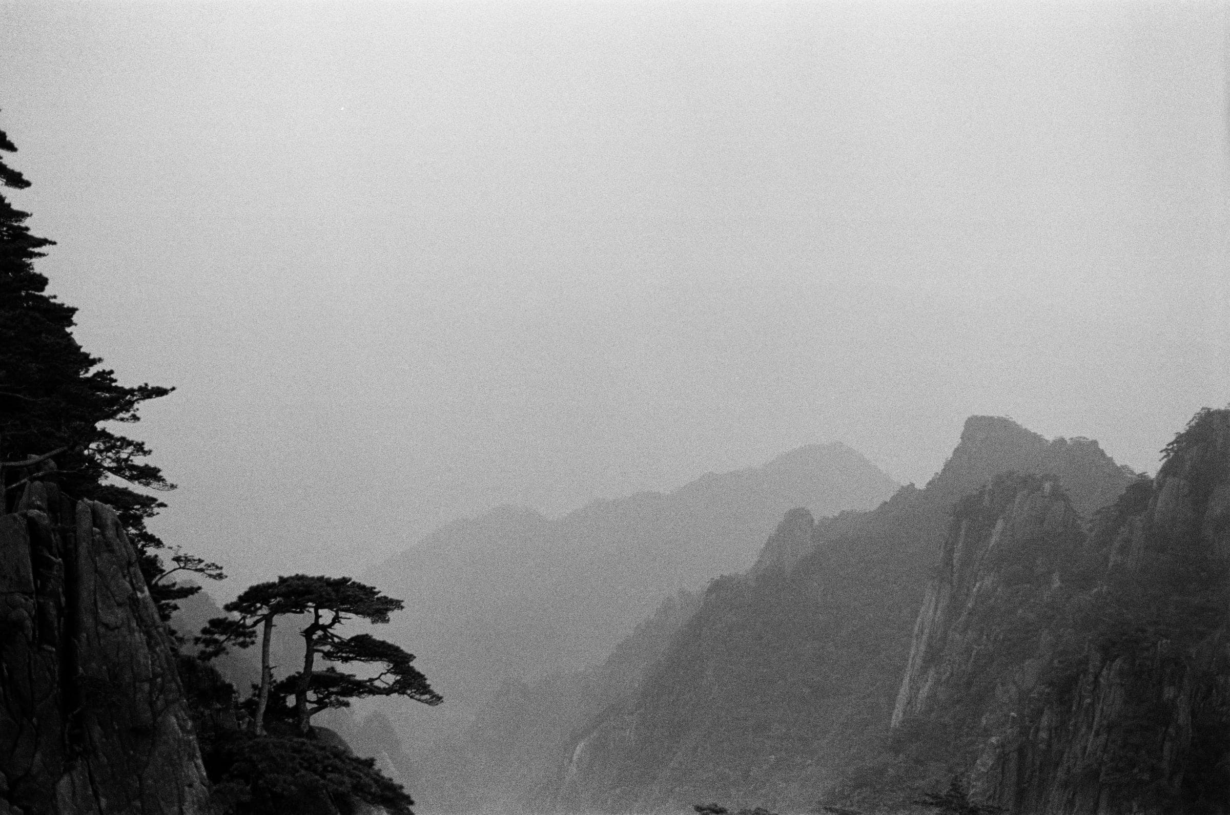Pines on a cliff above a misty valley, Huangshan, black and white