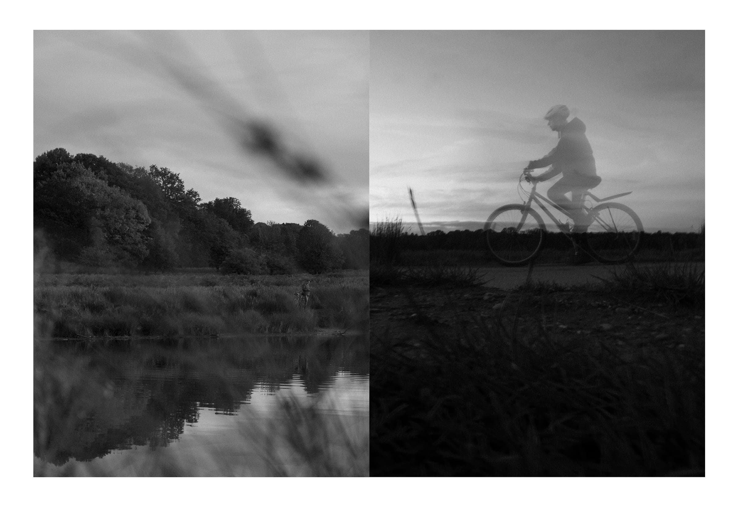 Diptych: trees reflected in a river, and a cyclist at dusk, black and white
