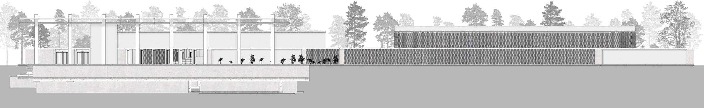 Long elevation of the pavilion among pine trees, its planted terrace in front
